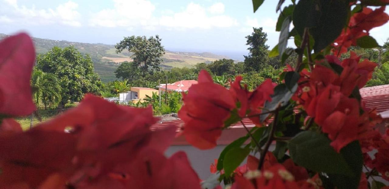 T2 Echappee Belle Sainte-Marie Kybo Karaib Location Pkg Mtgne Cosy Daire Dış mekan fotoğraf